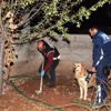Kürekle bahçe kazıp uyuşturucu aradılar