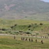 Hakkari'de 2 terörist teslim oldu Hakkari'de 2 terörist teslim oldu