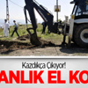 Kazdıkça Çıkıyor! Bakanlık El Koydu Kazdıkça Çıkıyor! Bakanlık El Koydu