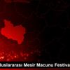 Manisa Uluslararası Mesir Macunu Festivali iptal edildi