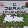 Zonguldak'ta jandarmadan uyuşturucu operasyonu: 1 gözaltı Zonguldak'ta jandarmadan uyuşturucu operasyonu: 1 gözaltı