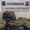 Diyarbakır'da 32 kilo esrar yakalandı Diyarbakır'da 32 kilo esrar yakalandı