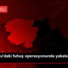 Kastamonu daki fuhuş operasyonunda yakalanan zanlı ...