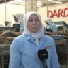 İngiltere Konsolosluğunda şüpheli paket alarmı İngiltere Konsolosluğunda şüpheli paket alarmı