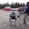 Amerika'da robot köpekler tanıtıldı Amerika'da robot köpekler tanıtıldı