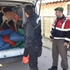Narkotik Köpekleril Midye Aradı Narkotik Köpekleril Midye Aradı