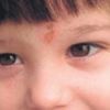 Son nefes