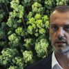 AK Parti'den yanan ormanların yeniden kazanılması için ağaçlandırma seferberliği
