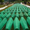 Srebrenica Soykırımı'nın 20. yılı Srebrenica Soykırımı'nın 20. yılı