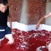 İğrenç biberler Türkiye'nin gündemine oturdu! Sakın bu biberleri yemeyin İğrenç biberler Türkiye'nin gündemine oturdu! Sakın bu biberleri yemeyin
