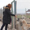 Hayvansevenler, Nevşehir’de