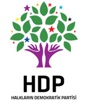 HDP'li Engin Dursun tutuklandı