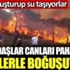 ﻿Heybeliada’da vatandaşlar canları pahasına alevlerle boğuşuyor