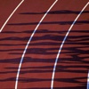 İstanbul'da atletizm heyecanı İstanbul'da atletizm heyecanı
