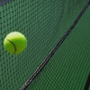 Davis Cup'ta kura çekimi Davis Cup'ta kura çekimi