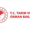 Tarım ve Orman Bakanlığından gıda işletmelerine laktoz ve glüten içeren ürünler için talimat