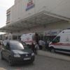 Mantar toplarken ayının saldırısına uğradı