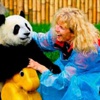 Günde 120 liraya panda bakıcılığı... Günde 120 liraya panda bakıcılığı...