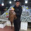 Sinop'ta balıkçılar yakaladıklarıyla şoke oldu Sinop'ta balıkçılar yakaladıklarıyla şoke oldu