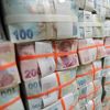 Bütçe mayısta fazla verdi Bütçe mayısta fazla verdi