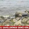 İstanbul Caddebostan sahilinde kanalizasyon skandalı |Video