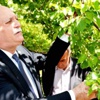 Kayısıyı bu yıl da don vurdu Kayısıyı bu yıl da don vurdu