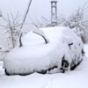Artvin beyaza büründü Artvin beyaza büründü