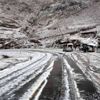 Giresun’da mevsimin ilk karı yağdı Giresun’da mevsimin ilk karı yağdı