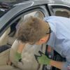 Mercedes koltuğunu didik didik etti! İçinden çıkanlara inanamayacaksınız Mercedes koltuğunu didik didik etti! İçinden çıkanlara inanamayacaksınız