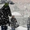 Doğu Anadolu'da yağmur ve kar yağışı bekleniyor