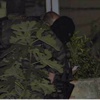 Maltepe'de terör operasyonu Maltepe'de terör operasyonu
