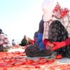 Elazığ dan dünya sofralarına 1000 ton kurutulmuş domates Elazığ dan dünya sofralarına 1000 ton kurutulmuş domates