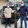 Büyükşehir den 2 bin ceviz fidanı desteği