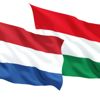 Macaristan Hollanda'dan özür bekliyor