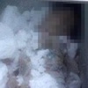 Görülmemiş vahşet: Derin dondurucuda 5 çocuk cesedi Görülmemiş vahşet: Derin dondurucuda 5 çocuk cesedi