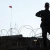 Şırnak'ta 5 terörist teslim oldu Şırnak'ta 5 terörist teslim oldu