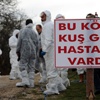 Kuş gribi gelmeden tatbikatı başladı Kuş gribi gelmeden tatbikatı başladı
