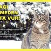 Belediyeden "Kontağı çevirmeden önce kaputa vur" çağrısı Belediyeden "Kontağı çevirmeden önce kaputa vur" çağrısı