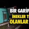 Gıda Fiyatlarını İzleyecek Komite Kuruldu Gıda Fiyatlarını İzleyecek Komite Kuruldu