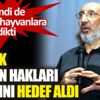 ﻿Abdurrahman Dilipak hayvan hakları yasasını hedef aldı: İçinde başka bir fitne barındırıyor
