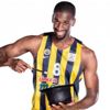 Ateş çemberi Ateş çemberi