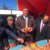 Soğan AKP'ye dert oldu