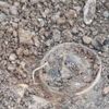 Hakkari Yüksekova'da patlayıcı ele geçirildi Hakkari Yüksekova'da patlayıcı ele geçirildi