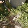 Bombalı eylem hazırlığındaki terörist Şanlıurfa'da yakalandı Bombalı eylem hazırlığındaki terörist Şanlıurfa'da yakalandı