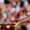 Sevilla asfalttan toz kaldırdı! Sevilla asfalttan toz kaldırdı!