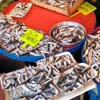 Sezon başladı... Hamsinin kilosu 8 lira Sezon başladı... Hamsinin kilosu 8 lira