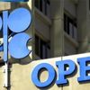 OPEC'in ham petrol üretimi 221 bin varil azalışla 30 milyon 550 bin varile geriledi