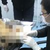 Belediye sokak köpeğinin hayatını kurtardı Belediye sokak köpeğinin hayatını kurtardı