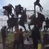 Göçmenler dikenli telleri aşmaya başladı Göçmenler dikenli telleri aşmaya başladı