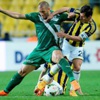 Fernandao bitti